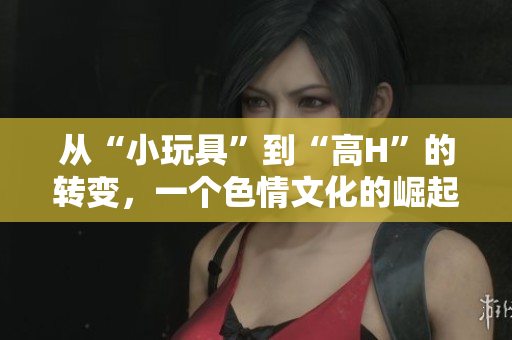 從“小玩具”到“高H”的轉(zhuǎn)變，一個色情文化的崛起？