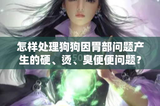 怎樣處理狗狗因胃部問題產(chǎn)生的硬、燙、臭便便問題？