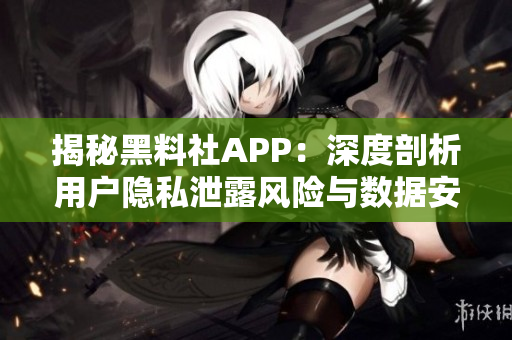 揭秘黑料社APP：深度剖析用戶隱私泄露風險與數據安全防范措施
