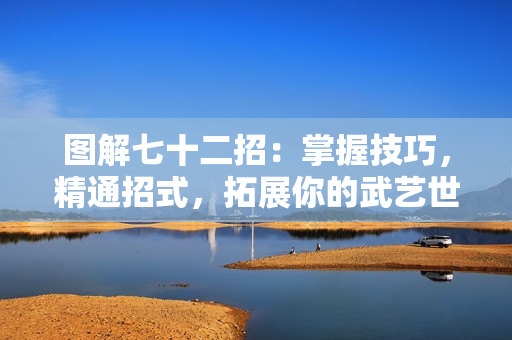 圖解七十二招：掌握技巧，精通招式，拓展你的武藝世界