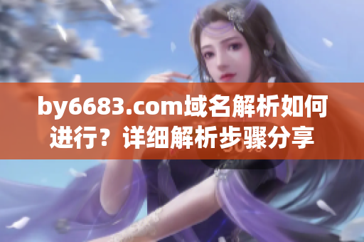 by6683.com域名解析如何進(jìn)行？詳細(xì)解析步驟分享