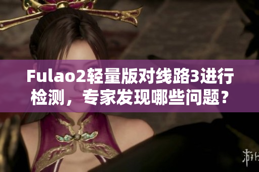 Fulao2輕量版對線路3進(jìn)行檢測，專家發(fā)現(xiàn)哪些問題？