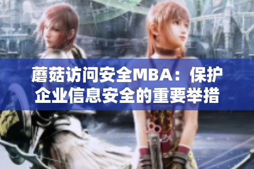 蘑菇訪問安全MBA：保護企業(yè)信息安全的重要舉措