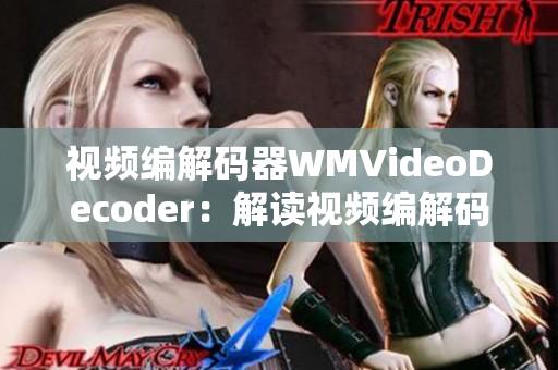 視頻編解碼器WMVideoDecoder：解讀視頻編解碼器的工作原理和應(yīng)用技術(shù)